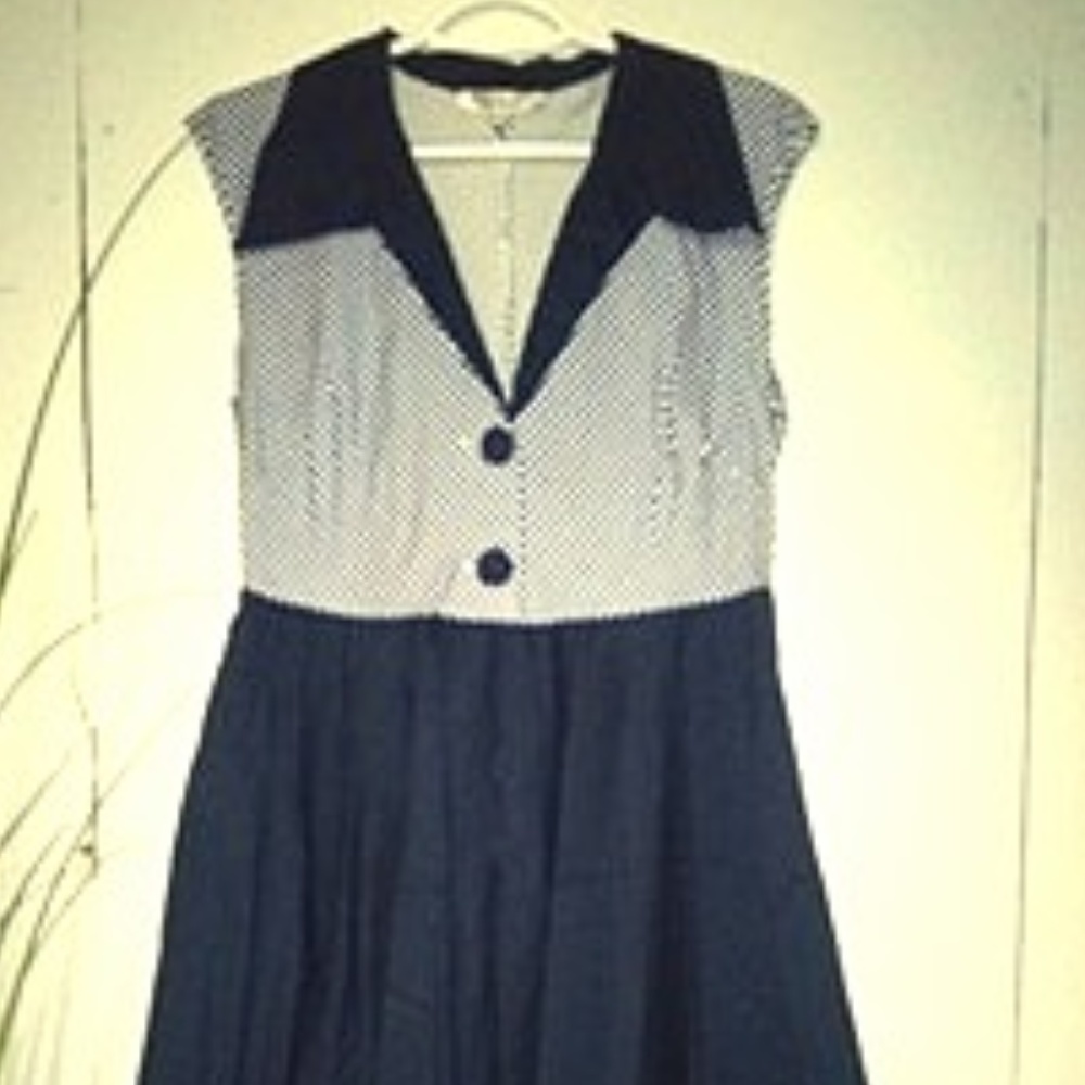 Fit and Flare Midi Pinup Dress